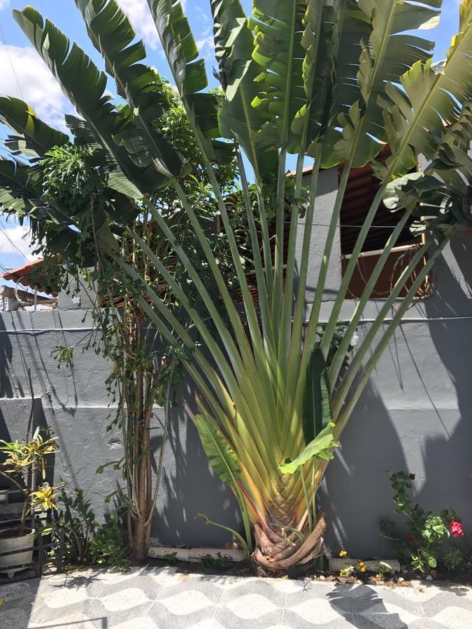 Guilherme Albergue *